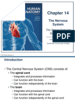 Ch_14_Spinal chord & spinal nerves.pdf