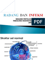 RADANG  DAN  INFEKSI kbk.ppt