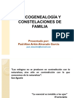 PSICOGENEALOGIAYCONSTELACIONESDEFAMILIA59.pdf