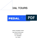 Pedal Tours Ed Business Plan