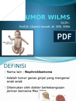 Tumor Wilms 02