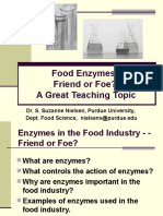 Food Enzyme