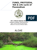 Algae, Fungi and Protozoa