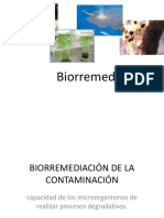 BIORREMEDiacion