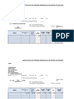 Formato Prueba Hidraulica