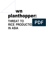 Brown Plant Hopper - Threat To Rice Production in Asia