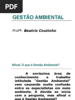 1 Gestao Ambiental (2)
