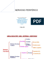Sistema Nervioso Periferico Blanco