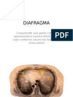 DIAFRAGMA 2017