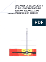 Fundamentos para la Selección y Aplicación de los Procesos de Recuperación Mejorada de Hidrocarbu_0.pdf