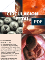 Circulacion Fetal