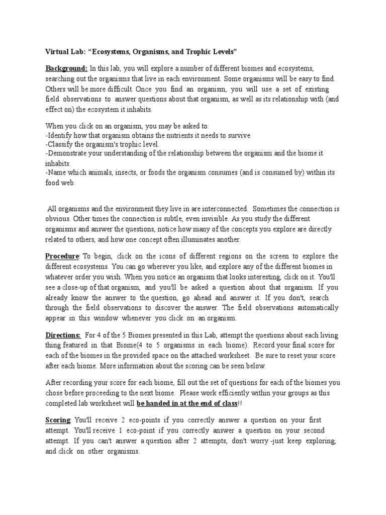 worksheet Ecosystems Worksheets virtual lab ecosystems inquiry based lesson instructions and worksheets field ii spring 2017 food web ecosystem