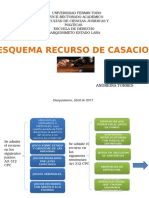 Esquema Recurso Casascion Andreina Torres