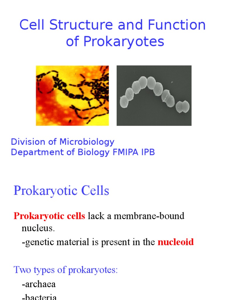 02 Cell Structure and Function of Prokaryotes (Student) | PDF | Cell ...