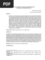 2ª Opição de Artigo