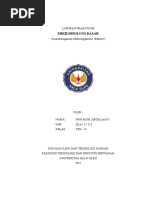 Download Laporan Keanekaragaman Mikroorganisme Bakteri by Muhammad Abdillah SN346858195 doc pdf
