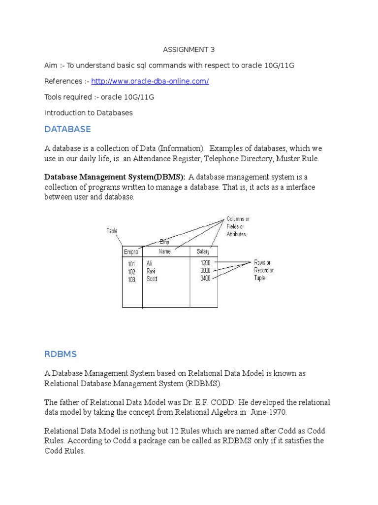 Introduction to Oracle SQL Basics | PDF | Relational Database | Databases
