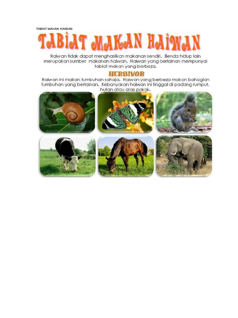 Datanglah Ke Taman Saya Disediakan Oleh Liong Khim Sim D20112052498 El R01 Cara Pemakanan Karnivor Omnivor Dan Herbivor Ciri