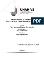 Informe Proyecto de Voluntariado