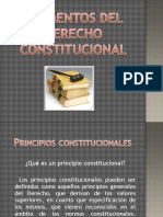 22304691 Elementos Derecho Constitucional