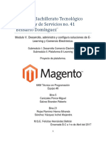 Informe MAGENTO