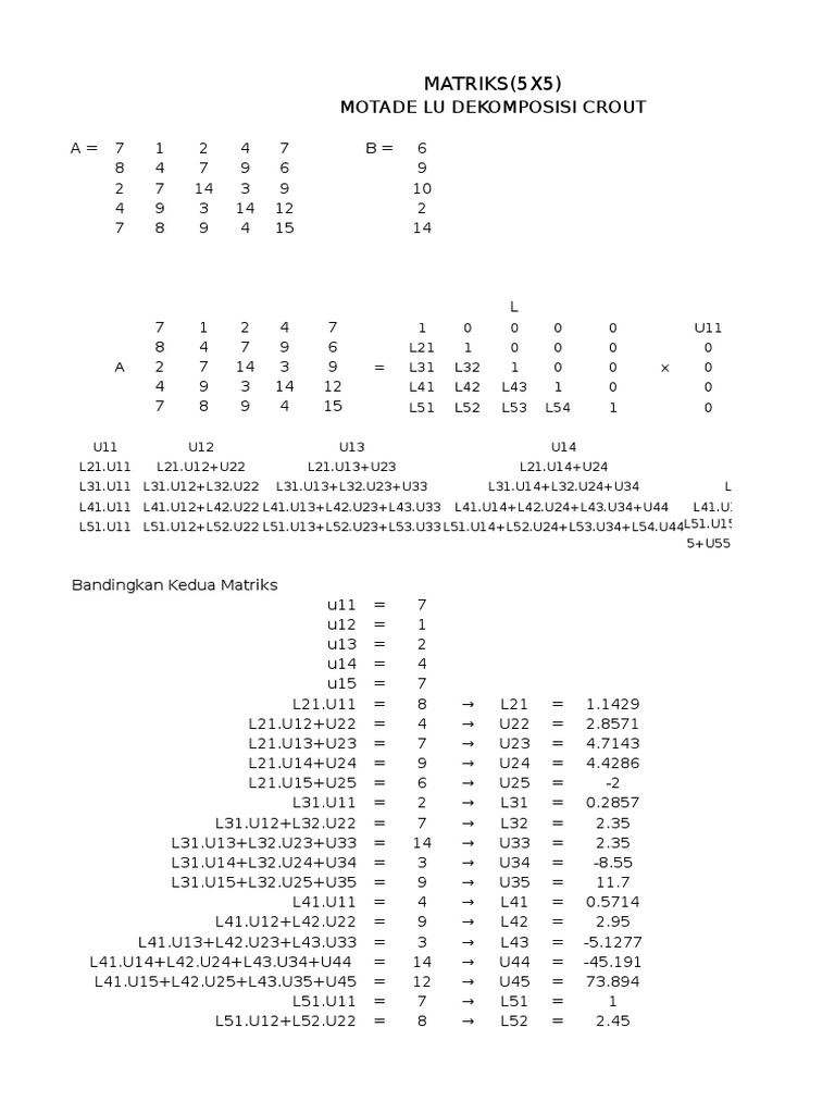 Matriks 5 X 5-7 | PDF