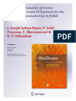 Design and Evaluation of Reverse Transcription Nested PCR Primers For The Detection of Betanodavirus in Finfish