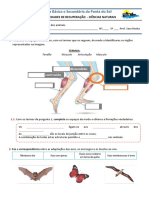 FRecuperacao-Deslocacao