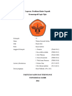 Laporan Pratikum Kimia Organik Kromatografi Lapis Tipis