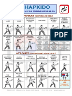 Tecnicas Fundamentales_Hapkido.pdf
