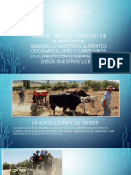 Clase de Agroecologia