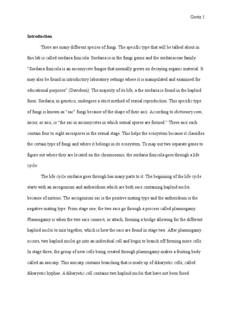 Fungi lab experiments image