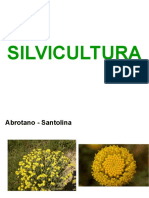 SILVICULTURA Especies de Flora
