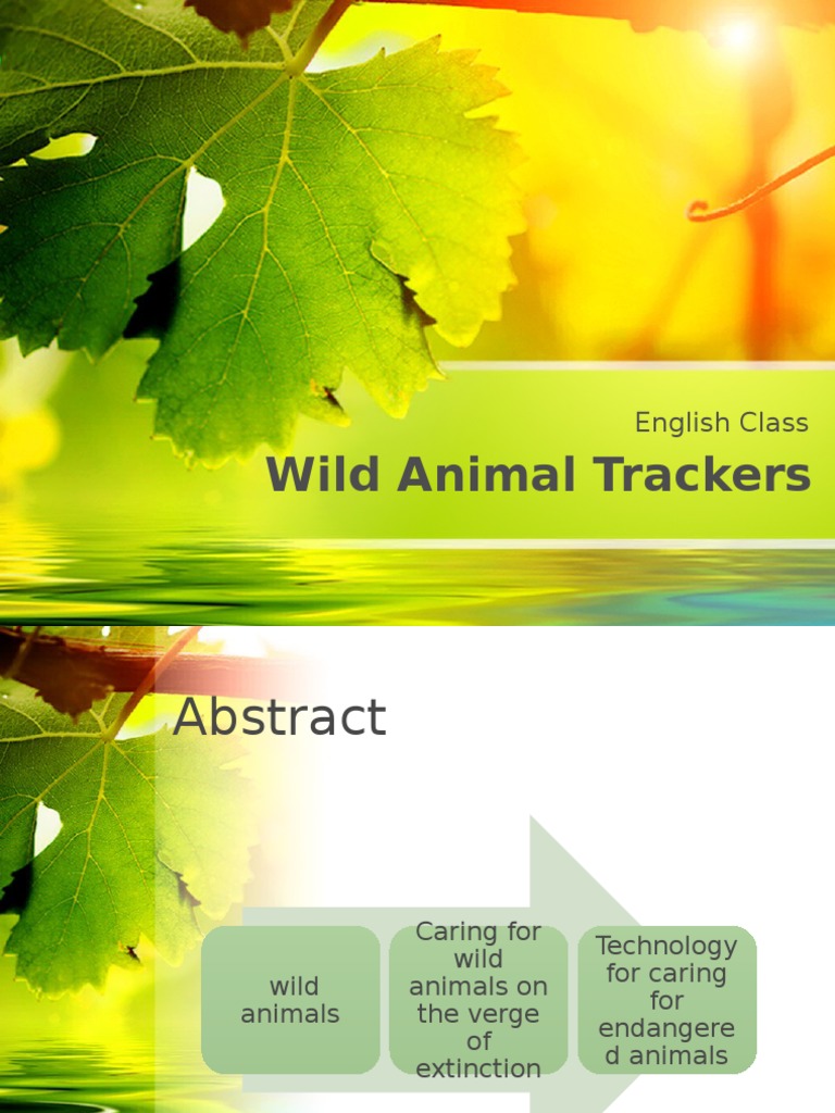 Wild Animal Tracking and Conservation | PDF | Science & Mathematics