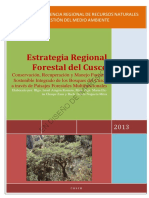 Estrategia Regional Forestal PDF