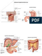 Atlas of Digestive System