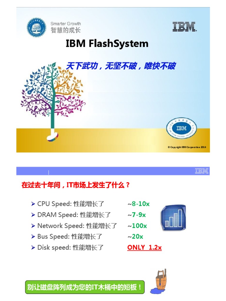 2.5 IBM FlashSystem Solutions Introduction V4 PDF | PDF