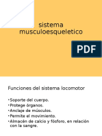 Sistema Musculoesqueletico