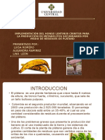 Proyecto - Micro