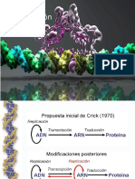 Transcripción PDF