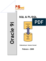 Manual Oracle.pdf