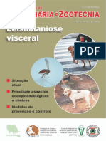 Leishmaniose Visceral