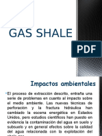 Gas Shale