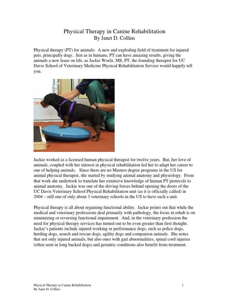 Physical Therapy in Canine Rehabilitation PDF | PDF