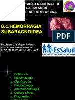 8-c-ECV-HSA-2017.pdf