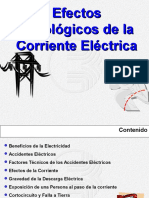 Electricidad en El Cuerpo Humano