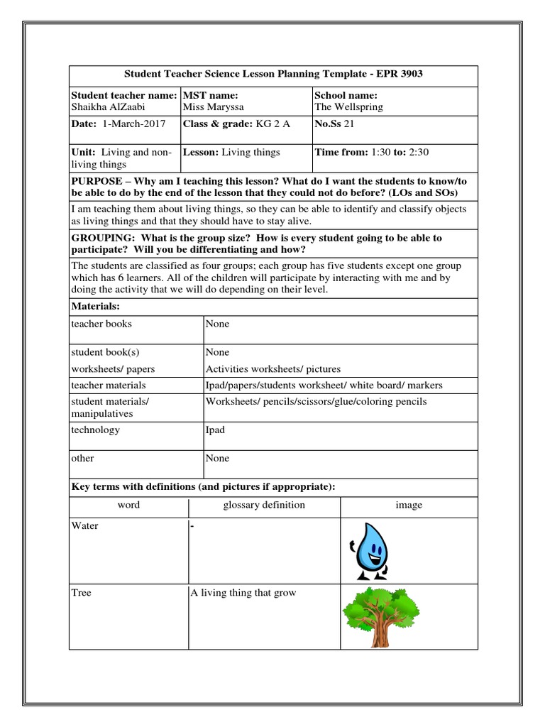 Lesson Plan 2 | PDF
