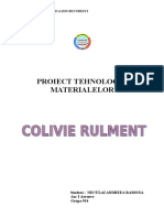 Proiect-Tm-Colivie-Rulment.doc