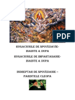 rugaciunile-de-spovedavie-sfanta-impartasanie.pdf