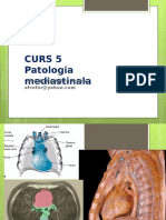 CURS 6 Patologie Mediastinala MG 2016